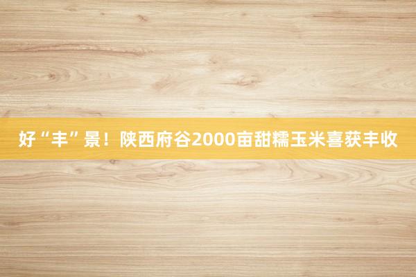 好“丰”景！陕西府谷2000亩甜糯玉米喜获丰收