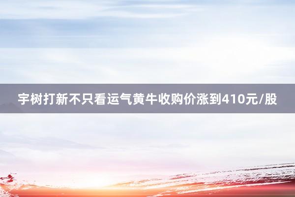 宇树打新不只看运气黄牛收购价涨到410元/股