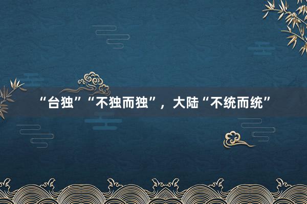 “台独”“不独而独”，大陆“不统而统”