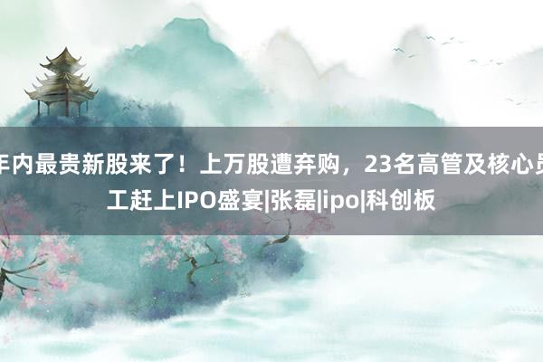 年内最贵新股来了！上万股遭弃购，23名高管及核心员工赶上IPO盛宴|张磊|ipo|科创板