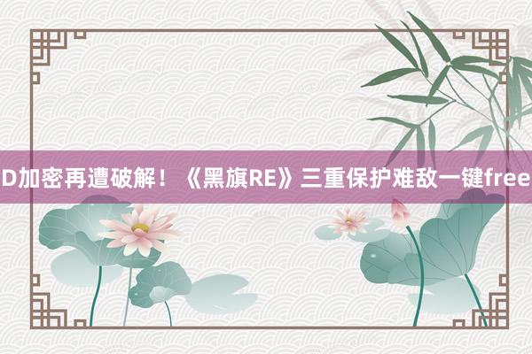 D加密再遭破解！《黑旗RE》三重保护难敌一键free