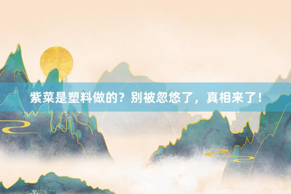 紫菜是塑料做的?别被忽悠了,真相来了!