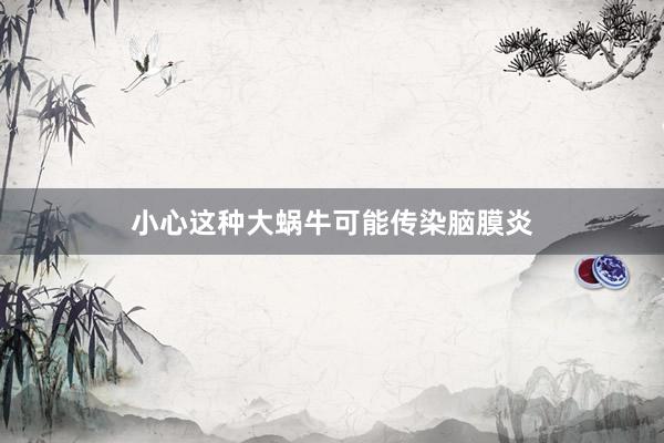 小心这种大蜗牛可能传染脑膜炎