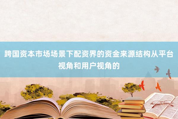 跨国资本市场场景下配资界的资金来源结构从平台视角和用户视角的