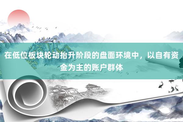 在低位板块轮动抬升阶段的盘面环境中，以自有资金为主的账户群体