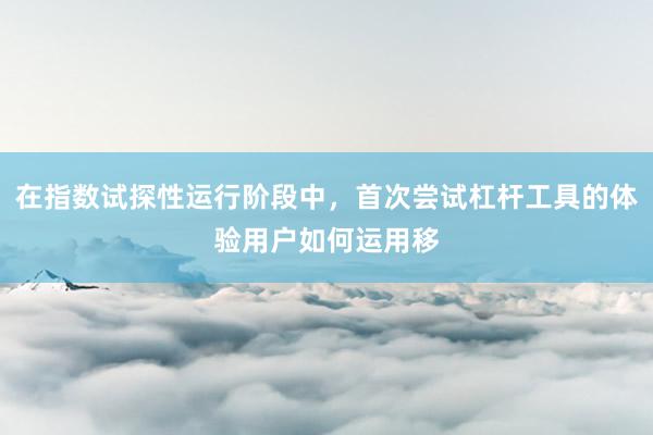 在指数试探性运行阶段中，首次尝试杠杆工具的体验用户如何运用移