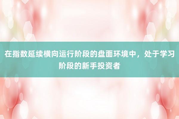 在指数延续横向运行阶段的盘面环境中，处于学习阶段的新手投资者