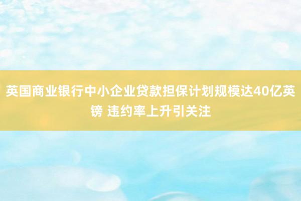 英国商业银行中小企业贷款担保计划规模达40亿英镑 违约率上升引关注