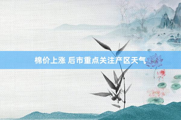 棉价上涨 后市重点关注产区天气