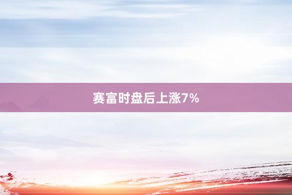 赛富时盘后上涨7%