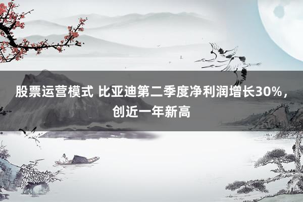 股票运营模式 比亚迪第二季度净利润增长30%，创近一年新高