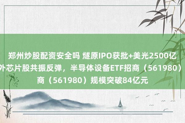 郑州炒股配资安全吗 燧原IPO获批+美光2500亿美元投资，海内外芯片股共振反弹，半导体设备ETF招商（561980）规模突破84亿元