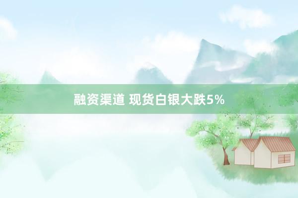 融资渠道 现货白银大跌5%