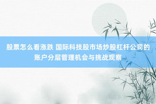 股票怎么看涨跌 国际科技股市场炒股杠杆公司的账户分层管理机会与挑战观察