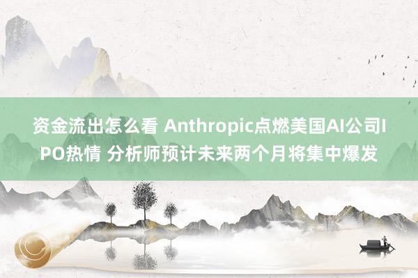 资金流出怎么看 Anthropic点燃美国AI公司IPO热情 分析师预计未来两个月将集中爆发