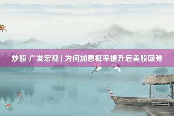 炒股 广发宏观 | 为何加息概率提升后美股回弹