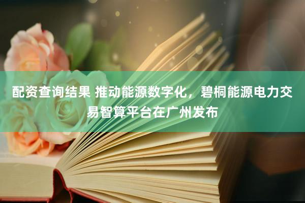 配资查询结果 推动能源数字化,碧桐能源电力交易智算平台在广州发布