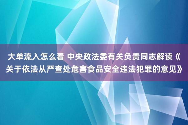 大单流入怎么看 中央政法委有关负责同志解读《关于依法从严查处危害食品安全违法犯罪的意见》
