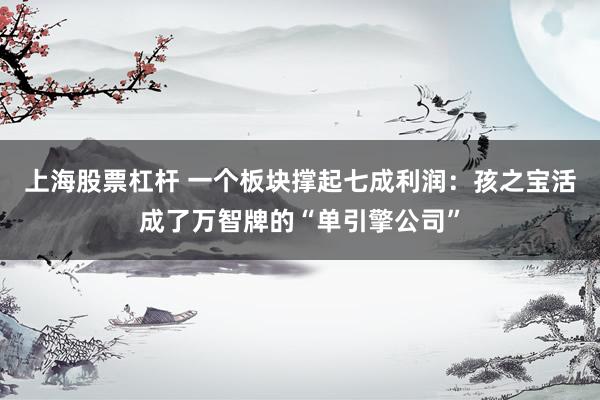 上海股票杠杆 一个板块撑起七成利润：孩之宝活成了万智牌的“单引擎公司”