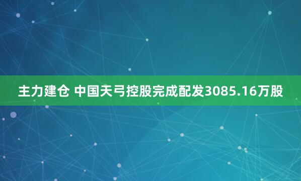 主力建仓 中国天弓控股完成配发3085.16万股